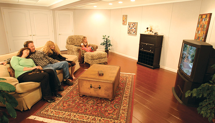 Family Room with the Total Basement Finishing System