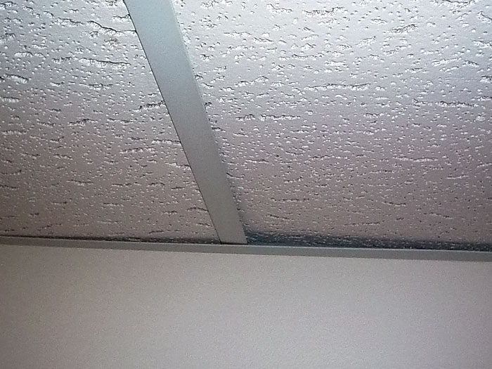 generic ceiling tiles lg